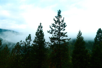 nature landscape amazing forest sunset blue sky mountain trees