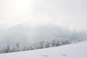 group of people hiking up a snowy hill, winter landscape background