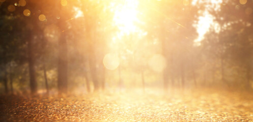 Wall Mural - Golden fall colors image background, abstract bright light and warm tones