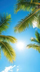 Palm leaves against a bright blue sky with sunlight shining through, creating a tropical ambiance.