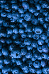 Wall Mural - Fresh blueberry background. Texture blueberry berries close up.