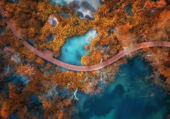 Wall Mural - aerial view of blue lakes in red autumn forest at sunrise. morning in plitvice lakes park, croatia. 