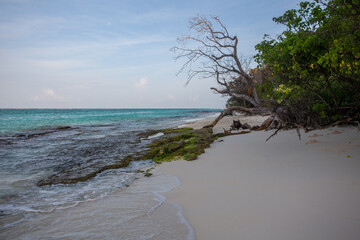 Serenity unfolds as golden sand meets clear turquoise waters and gentle waves caress the shore at twilight.