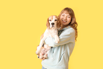 Poster - Young woman holding cute beagle dog on yellow background