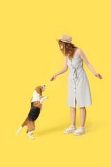 Poster - Young woman in casual attire playing with cute beagle dog on yellow background