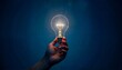 © Rgfx - A hand holding a glowing light bulb with a digital circuit inside, set against a dark blue background. Concept of technology and innovation