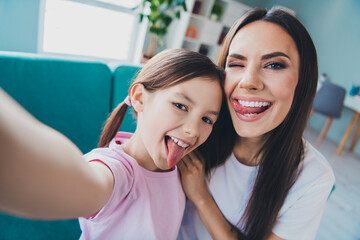 Wall Mural - Photo of crazy cheerful good mood mommy and daughter recording video blog indoors living room