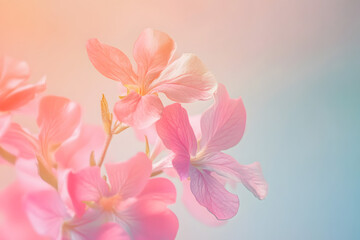 Soft Pastel Floral Blooms with Delicate Petals in a Dreamy Background – Nature's Beauty