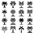 © Alienalgorithm - Palm trees vector illustration isolated – tropical plant set for tourism, travel, and vacation themes