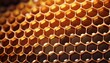 © swan - Close-up of a honeycomb