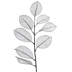 Canvas Print - A delicate black and white illustration of a leaf branch, showcasing intricate vein patterns.