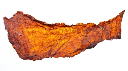 Poster - A translucent amber piece showcasing natural texture and color.