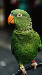 Sticker - A green parrot with an orange beak perched on a branch. AI.