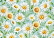 © Arnada - Charming chamomile floral pattern, perfect for textile, wallpaper, covers, and fashion prints. This seamless vector