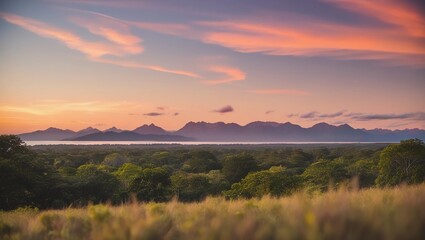 Nature Landscape