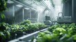 © nimaxs - A futuristic farm with machinery operating in a smart greenhouse. The sleek technology contrasts with the natural plants, leaving copy space above the scene