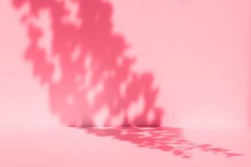 Wall interior background, studio and backdrops show products.with shadow from window color pink background for text insertion and presentation product
