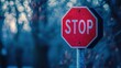 © Rawf8 - Stop sign on the street in countryside