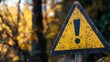© Rawf8 - Warning road sign. Exclamation mark in a yellow triangle in the countryside