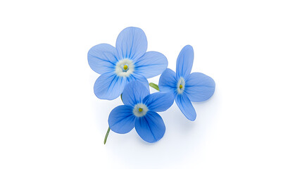 Sticker - blue forgetmenot flower isolated on white background : Generative AI