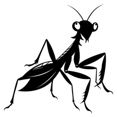 Mantis vector illustration black silhouette set collection isolated transparent background