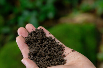 Close-up of hands holding rich black soil in organic representing soil resources and sustainable farming, which could be coal, earth or fertilizer, with an emphasis on texture and industrial context.