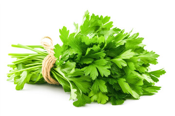 A bundle of fresh parsley tied together with natural twine, its rich green leaves spreading