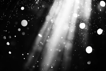 Wall Mural - abstract light particles in monochrome