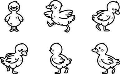 Wall Mural - set of cartoon ducks in various poses, hand-drawn in line art style. vector illustration, isolated f