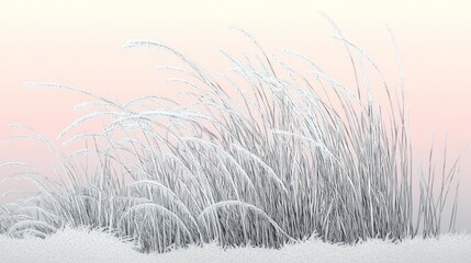 Wall Mural - Frozen Grasses, Frost