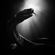 © Chanyapat - A striking black and white silhouette of snake, showcasing its elegant curves and poised stance. high contrast lighting creates dramatic atmosphere, emphasizing snakes features and evoking sense of my