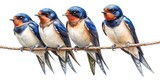 macro watercolor illustration of swallows perched on wire for migration