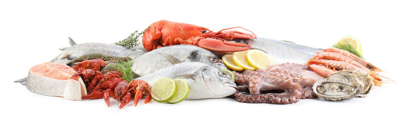 Sticker - Fresh fish and different sea food isolated on white