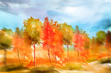 Watercolor autumn trees of yellow, red, orange color. Autumn forest,hill,blue sky. Watercolor art background.Beautiful splash of paint.Abstract creative background.