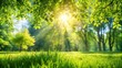 © suchetpong - Sunlit green grass and tree leaves from worm's eye view