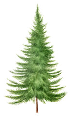 Wall Mural - PNG Artificial christmas tree plant pine leaf.