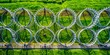 © Wanlop - Aerial View of Razor Wire Surrounding Perimeter Security Fencing