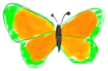 Canvas Print - PNG Butterfly drawing animal insect.