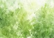 © Abstract Design - Abstract green watercolor background, brush strokes in light and dark shades of lime green, white background, texture for design