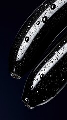   A detailed view of a monochromatic photograph featuring two umbrellas adorned with raindrops