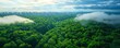 © ชัยธวัช ผาผง - Aerial view of lush green forest with mist and skyline in the distance.