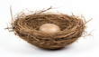 © Shameera - A bird nest elevation front view isolated