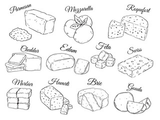 Collection of various kind of cheese hand drawn outline drawing vector food illustration set6