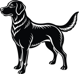 Wall Mural - labrador retriever dog silhouette vector design,isolated on a white background.