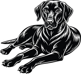 Wall Mural - labrador retriever dog silhouette vector design, isolated on a white background.