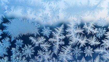 Sticker - snow frost on the window glass on a frosty day natural patterns isolated from the background