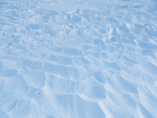 Wall Mural - Snow texture. Wind sculpted patterns on snow surface. Wind in the tundra and in the mountains on the surface of the snow sculpts patterns and ridges (sastrugi). Arctic, Polar region. Winter background