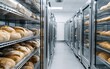 © JP STUDIO LAB - Walk-in industrial refrigerator with rows of neatly arranged produce and bread, clean and organized, stainless steel shelving, large-scale food storage solution