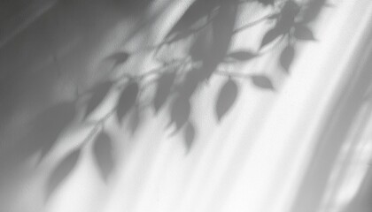 Wall Mural - shadow and sunshine of leaf reflection jungle leaves tree gray darkness shade and light blur on wall wallpaper shadows overlay effect mockup design grey tropical shadow foliage artistic background