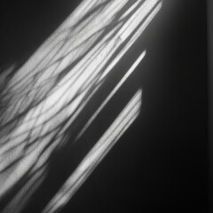 Wall Mural - shadow backgroun portrait texture portrait backdrop